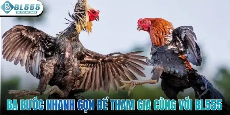 WS168 Đá Gà - Điểm Hẹn Giải Trí Siêu Thú Vị Ở Sảnh BL555 4 Ba bước nhanh gọn để tham gia cùng với BL555