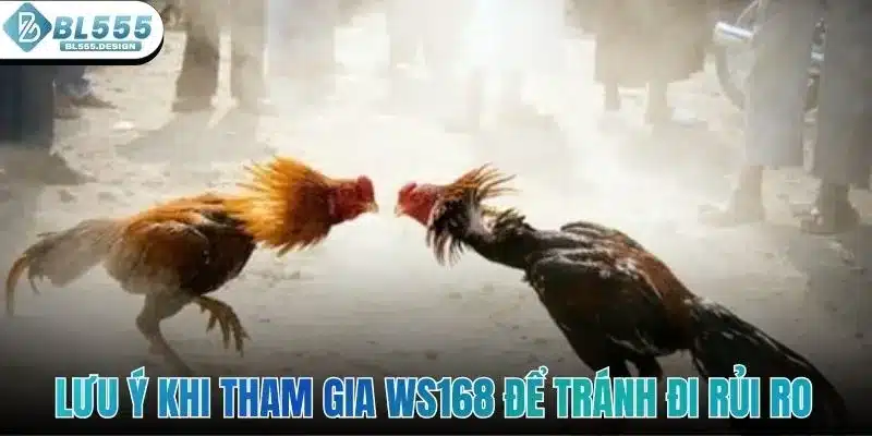 WS168 Đá Gà - Điểm Hẹn Giải Trí Siêu Thú Vị Ở Sảnh BL555 5 Lưu ý khi tham gia WS168 để tránh đi rủi ro